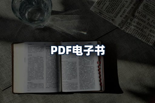 PDF电子书